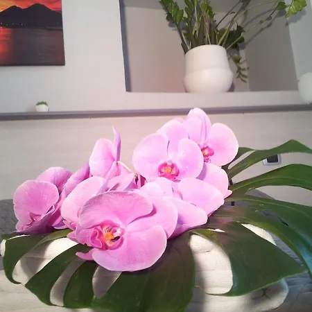 Panzió Solimena Nápoly