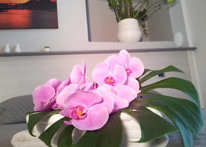 B&B Solimena 나폴리